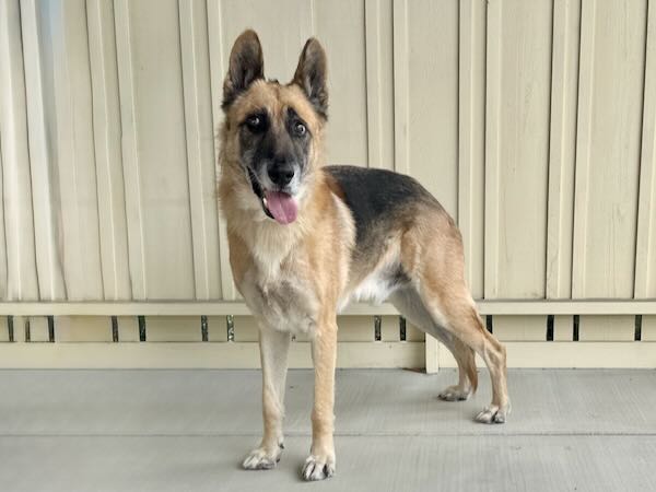 Axel