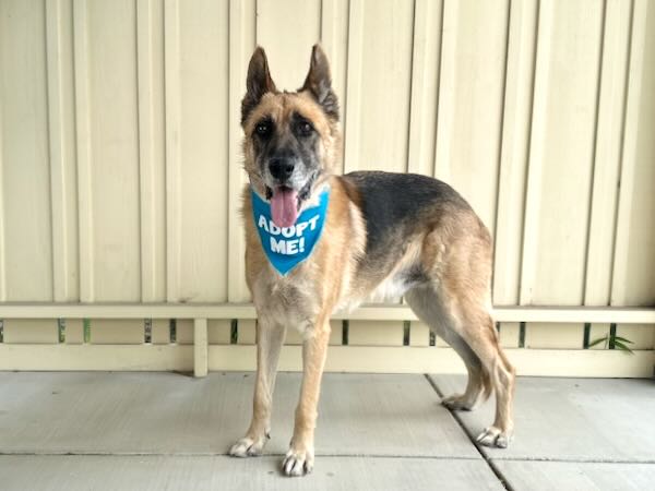 Axel
