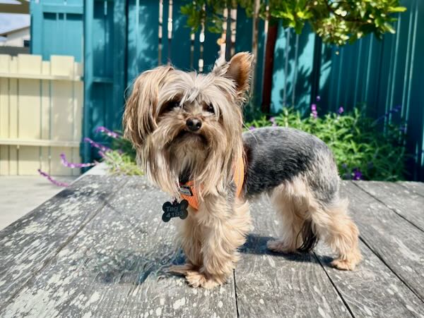 Betty