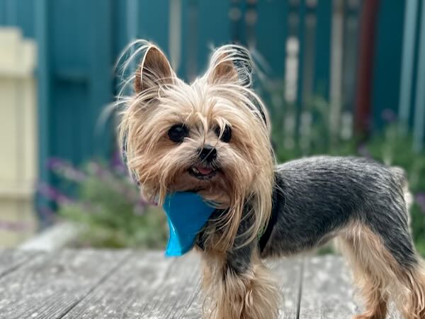 Chloe