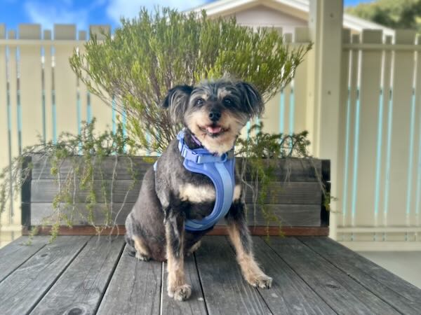 Gabby