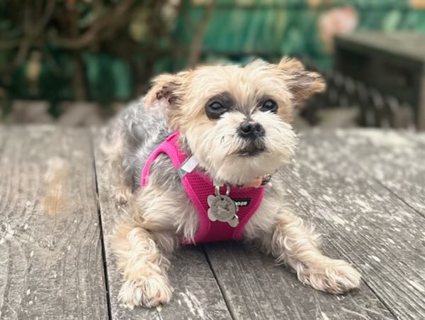 Malibu