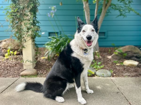 Zoey