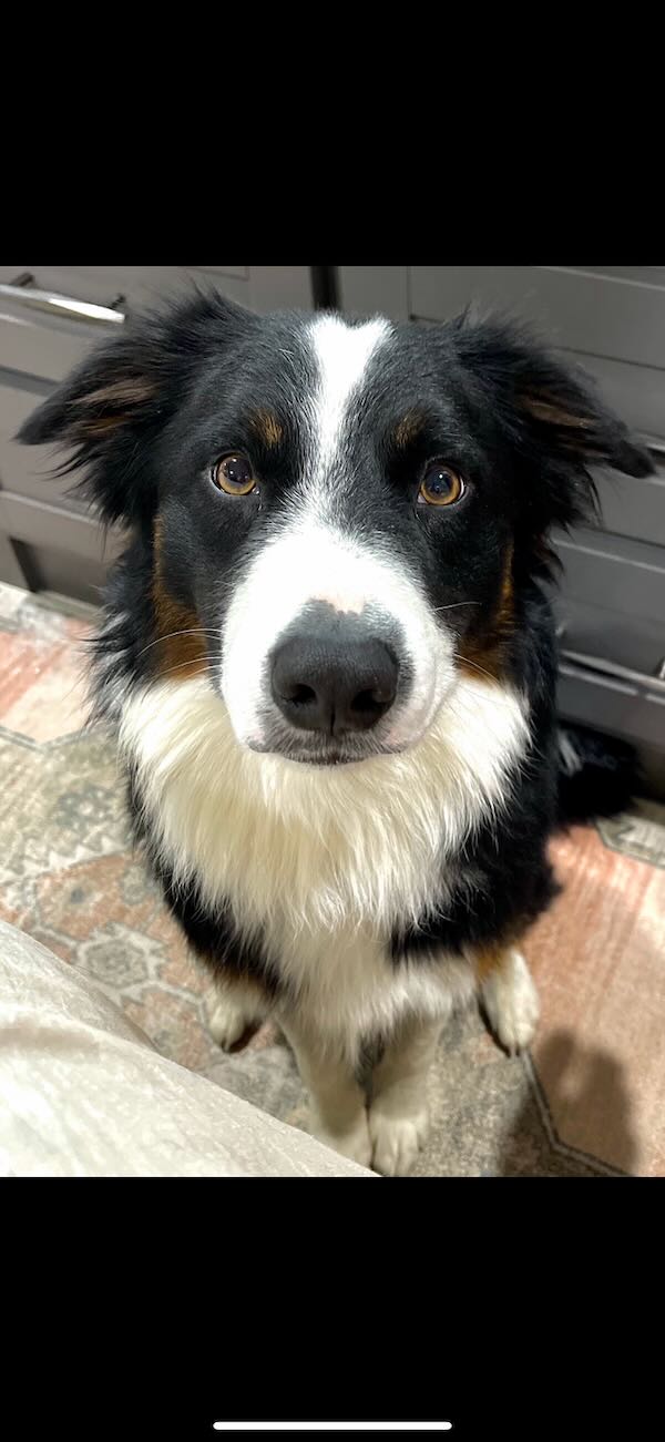 Copper